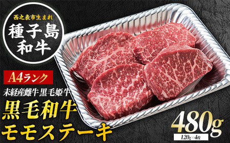 種子島 生まれ！ 黒毛 和牛 モモステーキ 120g×4枚　NFN546 【750pt 】 