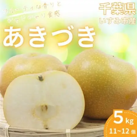 【2026年発送先行受付】いすみ市産あきづき梨　約5kg(11～12個)_果物・フルーツ 和梨 梨 わなし ワナシ_【1462342】