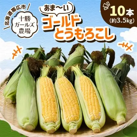 先行受付【十勝ガールズ農場】直送 朝もぎつぶつぶ「あま～いゴールドとうもろこし」10本_野菜 とうもろこし  トウモロコシ_【配送不可地域：離島】【1462030】