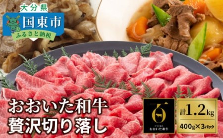 おおいた和牛/贅沢切り落し1.2kg _1179R