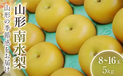 【先行予約2026年発送】 南水梨 8玉～16玉 5kg 【2026年9月から発送】 なし ナシ 梨 デザート フルーツ 果物 くだもの 果実 食品 山形県 FSY-2584