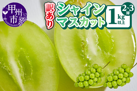 【訳あり】シャインマスカット 2～3房 1kg以上【2026年発送】（AGB）A09-875 シャインマスカット フルーツ