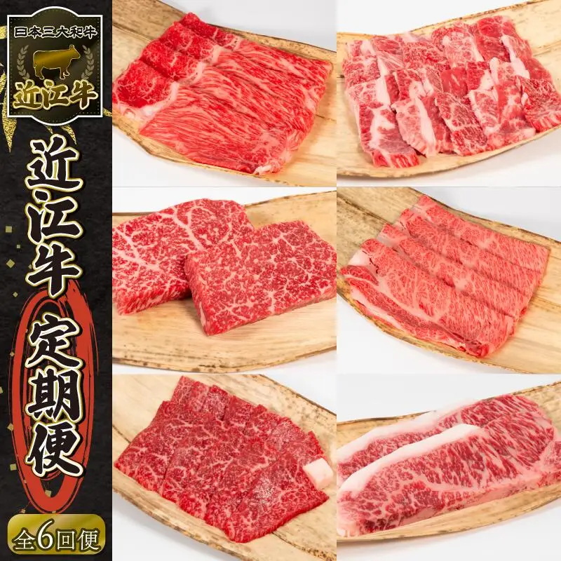 【6ヶ月定期便】近江牛 定期便 6ヶ月 すきしゃぶ 焼き肉 ステーキ【 近江牛 牛肉 】