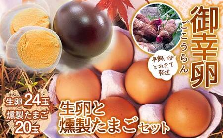 平飼い卵 とれたて発送「御幸卵」の生卵と燻製たまごセット（生卵24玉、燻製たまご20玉入り） 伊達市 福島県 国産 養鶏場直送 卵 たまご 玉子 生卵 鶏卵 燻製たまご F20C-759