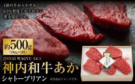 神内和牛あか シャトーブリアン 約500g 5枚入り  肉 お肉 牛肉 和牛 希少部位 冷凍 北海道 浦臼町