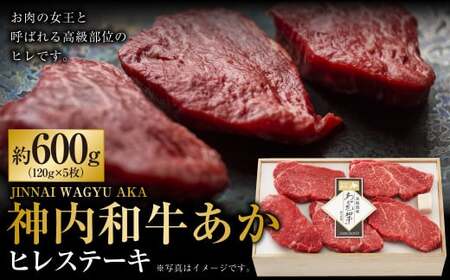 神内和牛あか ヒレステーキ 約600g 5枚入り 肉 お肉 牛肉 和牛 ヒレ ステーキ 冷凍 北海道 浦臼町