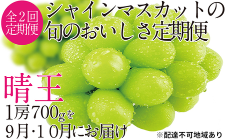 ぶどう 2026年 先行予約 9月・10月発送 シャイン マスカット 晴王 1房 約700g ブドウ 葡萄  岡山県産 国産 フルーツ 果物 ギフト 