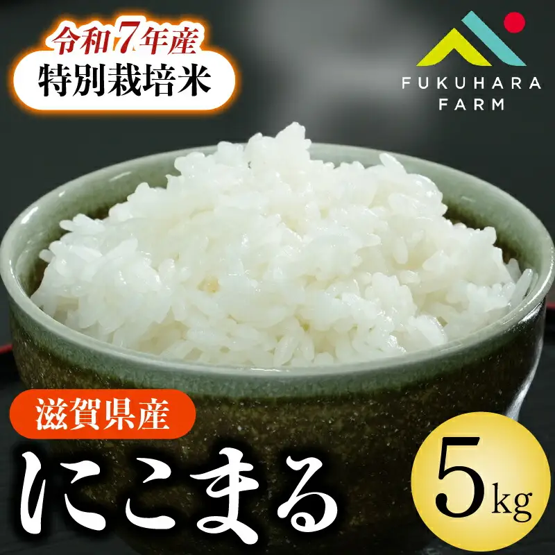 特別栽培米 にこまる 5kg 令和7年産 特別栽培米