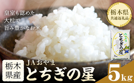 令和7年産 米 お米 とちぎの星 5kg JAおやま《30日以内に出荷予定(土日祝除く)》 栃木県 野木町産 コメ 米 ブランド米 とちぎのほし【栃木県共通返礼品】