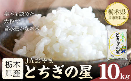 令和7年産 米 お米 とちぎの星 5kg JAおやま《30日以内に出荷予定(土日祝除く)》 栃木県 野木町産 コメ 米 ブランド米 とちぎのほし【栃木県共通返礼品】