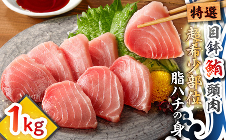 特選 目鉢鮪 頭肉 超希少部位 「 脂ハチの身 」 M081-001 冷凍 マグロ