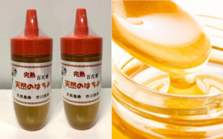 完熟百花蜜・天然のはちみつ　300g×2本　【12203-0068】