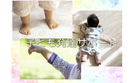 【初回限定】子ども発達サポート　【12203-0169】