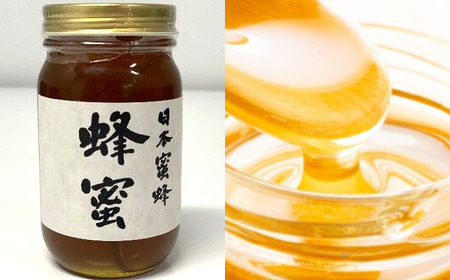 日本蜜蜂　はちみつ　300g　【12203-0079】