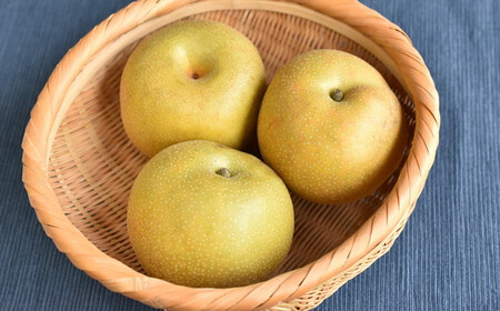 市川のブランド梨「幸水」大玉　約3kg（5～9玉）　【12203-0038】
