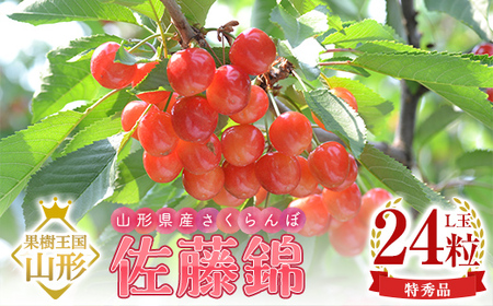 【2026年産 先行予約】山形県産さくらんぼ 佐藤錦 特秀 L玉 24粒 化粧箱入り FSY-1094