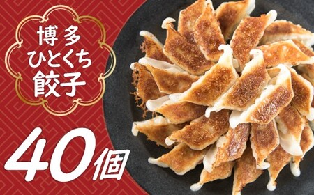 Z263.福岡・博多の味『博多一口餃子』４０個入（４０個入×１Ｐ）