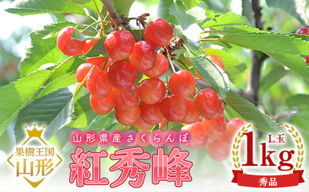 【2026年産 先行予約】山形県産さくらんぼ 紅秀峰 秀品 L玉 1kg バラ詰め 化粧箱入り FSY-2201