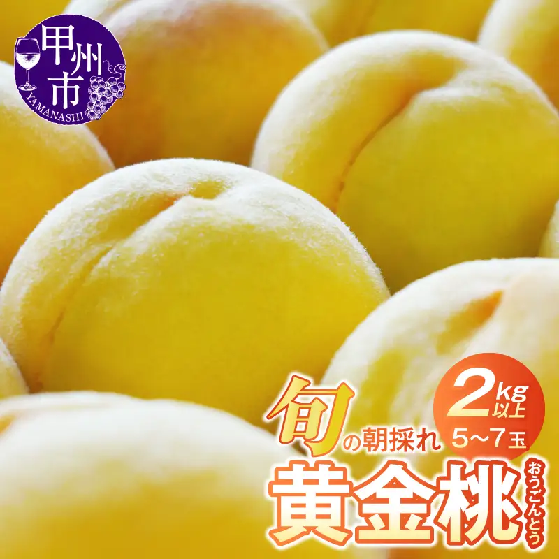 桃 数量限定！旬の朝採れたて黄金桃 2kg以上（5～7玉）【2026年発送】（HO）B12-151 フルーツ