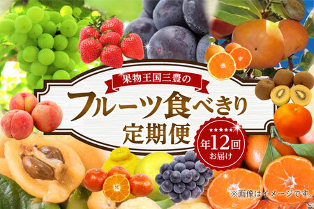 フルーツ 定期便 食べきり定期便 年12回