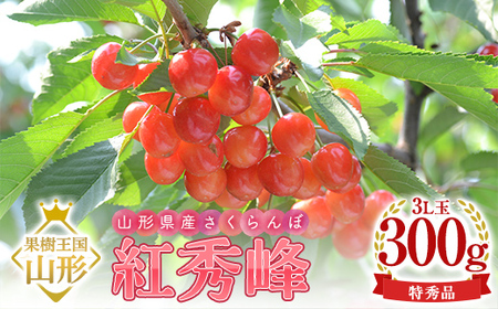 【2026年産 先行予約】山形県産さくらんぼ 紅秀峰 特秀 3L玉 300g 鏡詰め 化粧箱入り FSY-1096