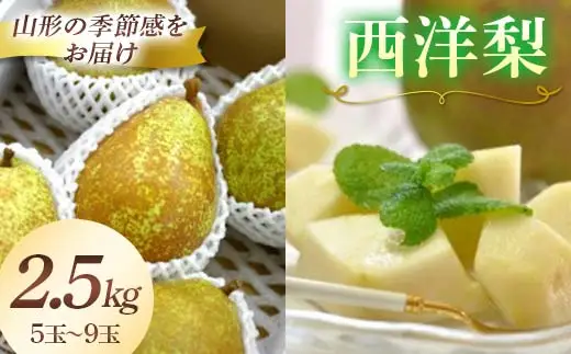 【2026年発送先行予約】西洋梨 5玉～9玉 2.5kg《品種指定はできません》 なし ナシ 梨 デザート フルーツ 果物 くだもの 果実 食品 山形県 FSY-2704