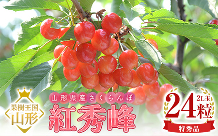 【令和8年産 先行予約】山形県産さくらんぼ 紅秀峰 特秀 2L玉 24粒 化粧箱入り FSY-1097