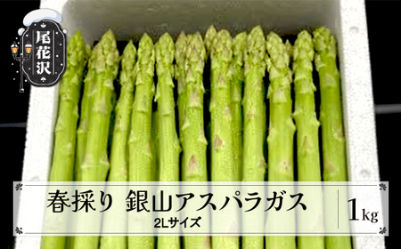 春採り 銀山アスパラガス 2Lサイズ(極太) 1kg 令和8年産 nk-vga2x1