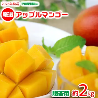 【2026年発送】平田果樹園の厳選アップルマンゴー贈答用（約2kg） アーウィン 果物 甘い 夏 濃厚 ギフト Mango ランキング 完熟 お気に入り 美味しい 人気 おすすめ フルーツ 沖縄県 先行予約 食品 デザート 産地直送 送料無料