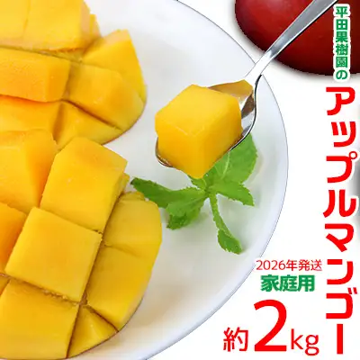 【2026年発送】平田果樹園のアップルマンゴー家庭用（約2kg） アーウィン 果物 甘い 夏 濃厚 ギフト Mango ランキング 完熟 お気に入り 美味しい 人気 おすすめ フルーツ 沖縄県 先行予約 食品 人気 産地直送 送料無料