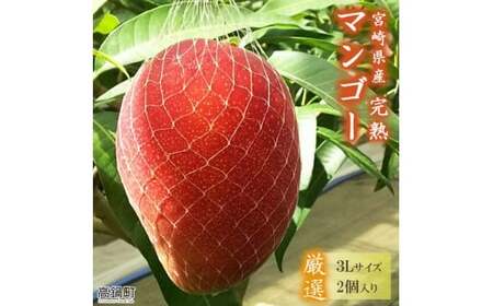 【先行予約】＜宮崎県産 完熟マンゴー (3Lサイズ×2個)＞2026年4月上旬～9月上旬迄に順次出荷【c594_my_x6】果物 フルーツ マンゴー くだもの 特産品 完熟 国産 宮崎県 高鍋町