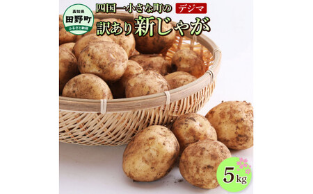 令和8年産新じゃがいも『デジマ』5kg訳あり品 