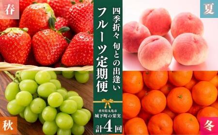 フルーツ 定期便 4回 いちご 桃 シャインマスカット みかん 果物