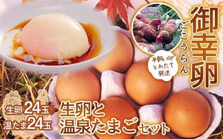 平飼い卵 とれたて発送「御幸卵」の生卵と温泉たまごセット（生卵24玉、温たま24玉） 伊達市 福島県 国産 養鶏場直送 卵 たまご 玉子 生卵 鶏卵 温泉たまご F20C-760