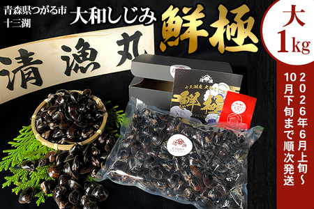 十三湖産 大和しじみ -鮮極- 大貝 1kg (500g×2パック) [0924]