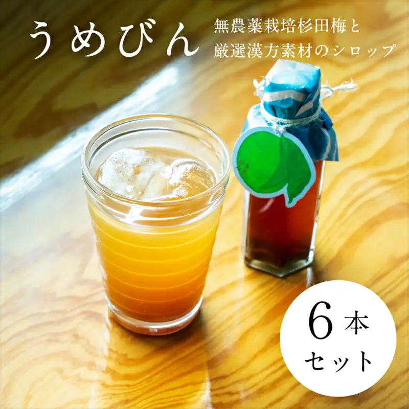 【６本セット】濃厚梅エキスと漢方のシロップ「うめびん（杉田梅） by Kampo Kitchen」【 家庭用 自宅用 贈答品 贈答用 ギフト お取り寄せ お中元 お歳暮 贈り物 お祝い 神奈川県 小田原市 梅 梅】