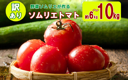 【特別栽培農産物】大玉 訳あり ソムリエトマト 約 6kg ～ 10kg (約3kg～5kg × 2箱) | ミニトマト トマト とまと 熊本県 玉名市 野菜