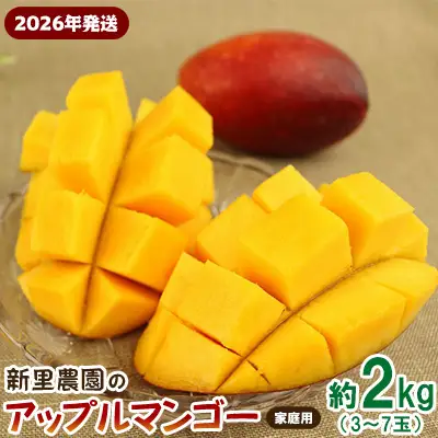 マンゴー【2026年発送】新里農園のアップルマンゴー家庭用（約2kg） 