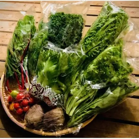 ご夫婦2人で食べきり量のサラダボウルが作れる野菜詰め合わせセット【少量パック8品目】_野菜 ミニトマト トマト   野菜 レタス    野菜   _【配送不可地域：離島】【1454133】
