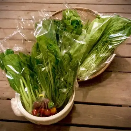 野菜ソムリエ推奨!鍋におすすめの野菜詰め合わせセット【香りと食味を楽しむ8品目】_野菜 ミニトマト トマト   野菜   _【配送不可地域：離島】【1454175】