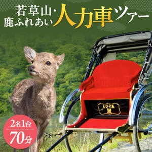 人力車ツアー 【７０分】若草山・鹿ふれあいツアー １名１台 人力車ツアー 奈良ツアー 株式会社麻世勝エビス NJ-03