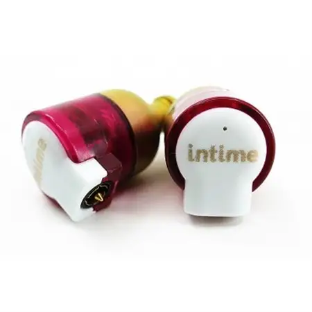 〈太田市〉intime(アンティーム)轟MarkII Type-P_家電製品 TV・オーディオ・カメラ  _【1461141】