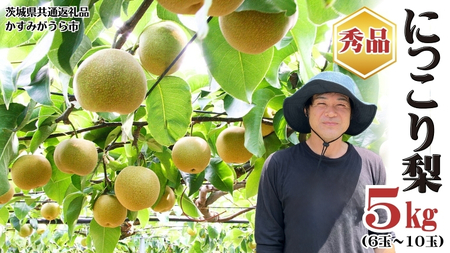 【先行予約】《秀品》にっこり梨 5kg 6玉～10玉（茨城県共通返礼品／かすみがうら市）[ED001sa]