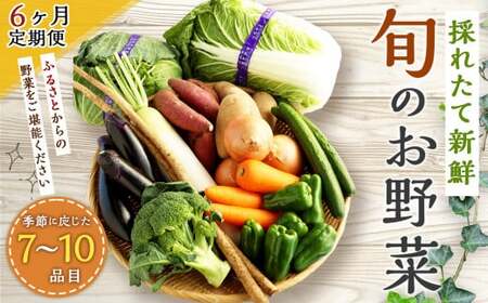 【6ヶ月定期便】生産者応援 採れたて新鮮 旬のお野菜 詰め合わせセット