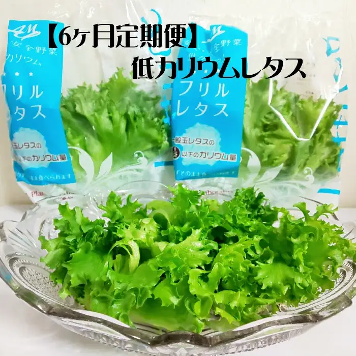 【定期便】低カリウムレタス（毎月6ヶ月お届け）　【07208-0092】