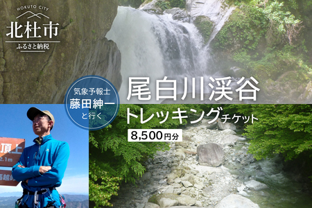 気象予報士・藤田紳一と行く尾白川渓谷トレッキングチケット [h227]
