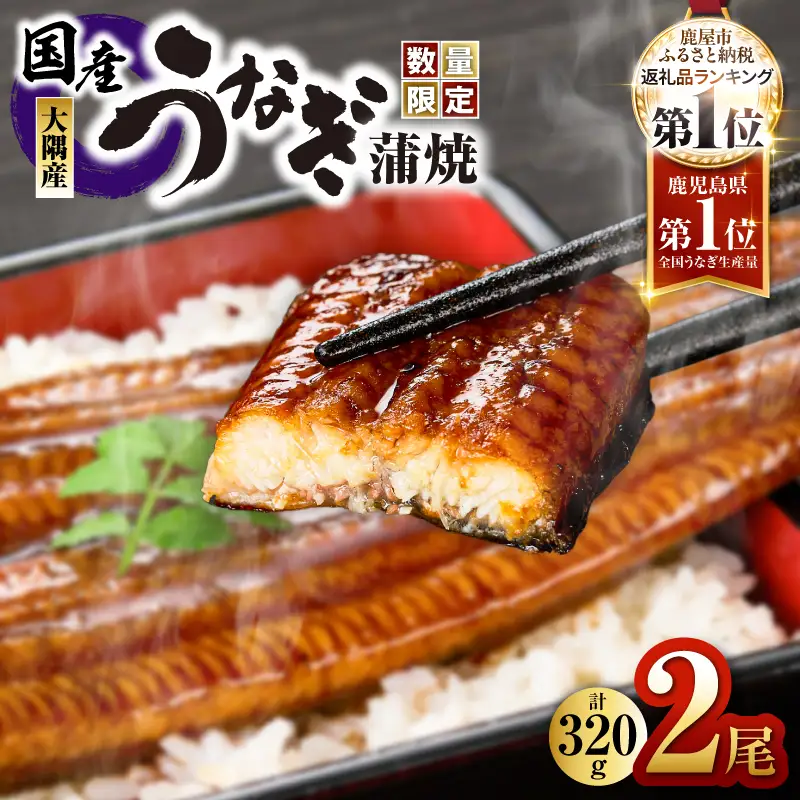 【土用の丑の日特集】1541-1 【数量限定】鹿児島県大隅産うなぎ蒲焼2尾（320g） KN007-002-05 魚 鰻