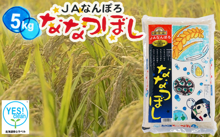 北海道産 ななつぼし 5kg 令和7年産 YES!clean 北海道安心ラベル 米 道産米 南幌町 NP1-477