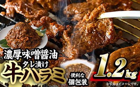 濃厚味噌醤油 タレ漬け牛ハラミ(サガリ)肉 小分け 個包装で便利！ (合計1.2kg・300g×4p) 牛肉 焼くだけ 簡単 焼肉 焼き肉 やきにく 厚切り 肉厚 冷凍 BBQ 希少部位 【BD300】【西日本畜産 (株)】