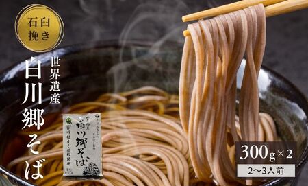 世界遺産白川郷そば 2～3人前 300g 2袋 蕎麦 半生そば 年越しそば 年末 常温保存 岐阜県 白川村 7000円 [S636]